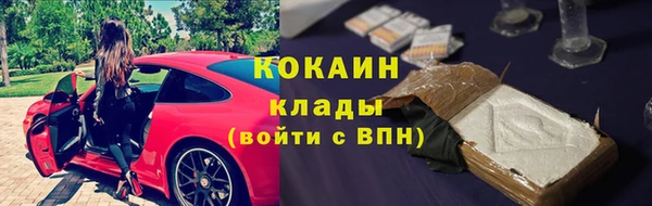 apvp Иннополис