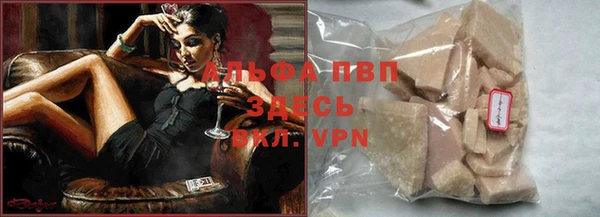 apvp Иннополис