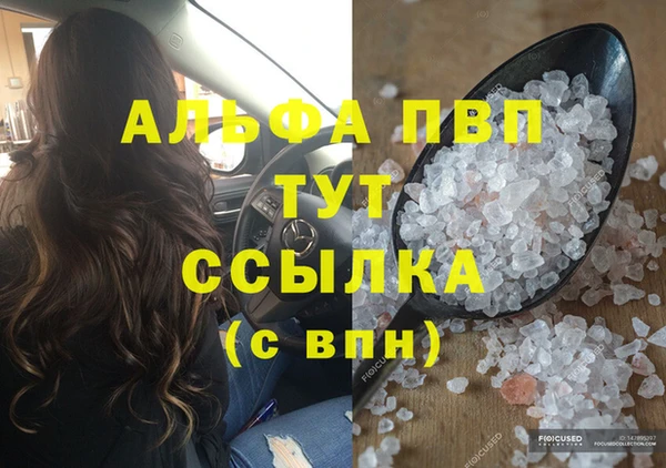 apvp Иннополис