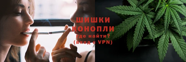 apvp Иннополис