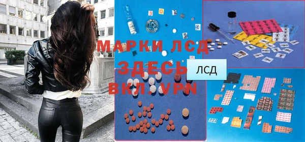 apvp Иннополис