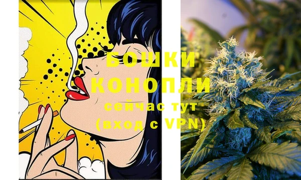 apvp Иннополис