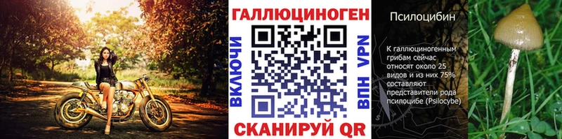 Галлюциногенные грибы прущие грибы  Купить  Лихославль 